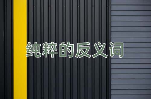 纯粹的反义词