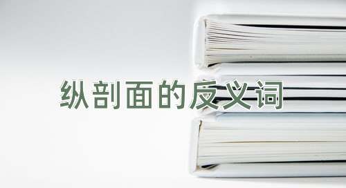 纵剖面的反义词