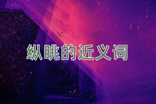 纵眺的近义词