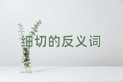 细切的反义词