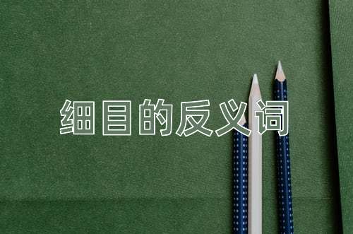 细目的反义词