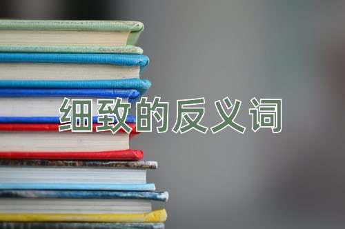 细致的反义词