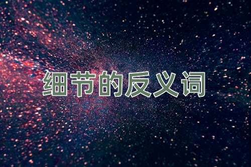 细节的反义词
