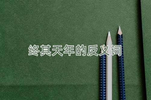 终其天年的反义词