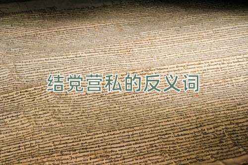 结党营私的反义词