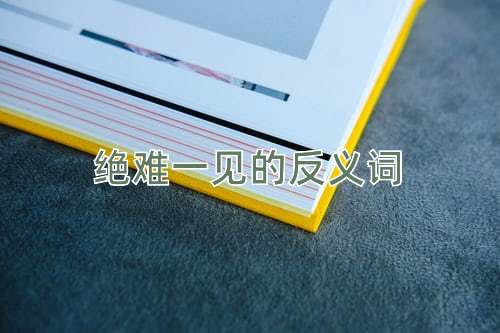 绝难一见的反义词