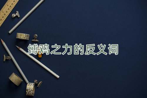 缚鸡之力的反义词