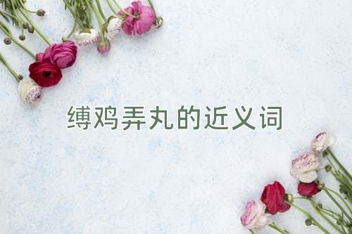 缚鸡弄丸的近义词