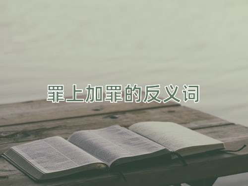 罪上加罪的反义词