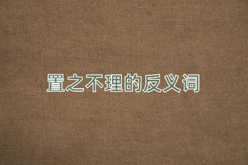 置之不理的反义词
