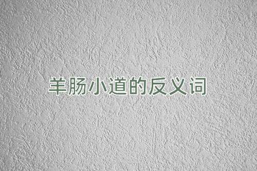 羊肠小道的反义词