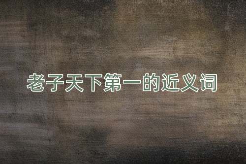 老子天下第一的近义词