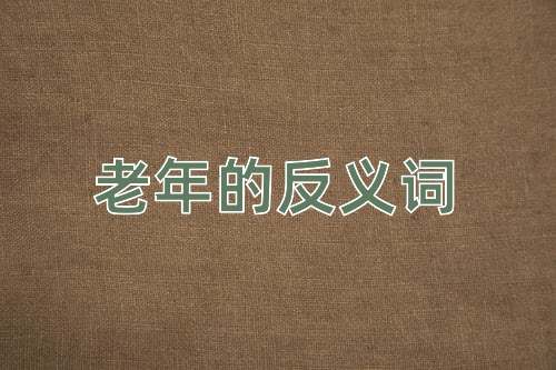 老年的反义词