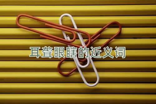耳聋眼瞎的近义词