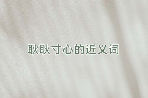 耿耿寸心的近义词