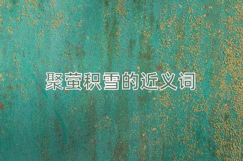 聚萤积雪的近义词