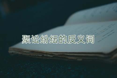 聚讼纷纭的反义词
