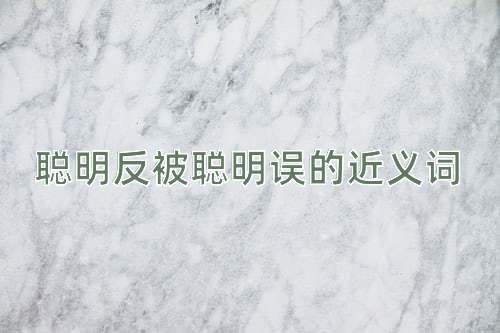 聪明反被聪明误的近义词