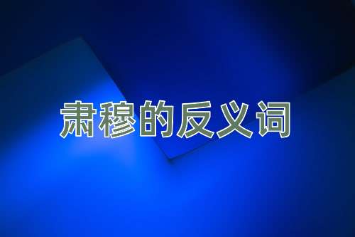 肃穆的反义词