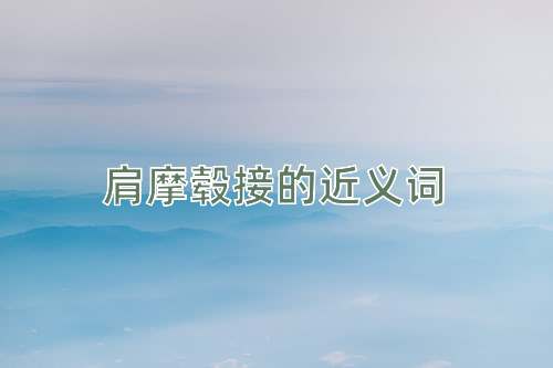 肩摩毂接的近义词