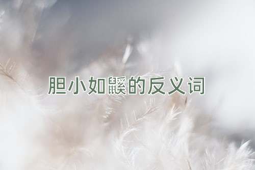 胆小如鼷的反义词