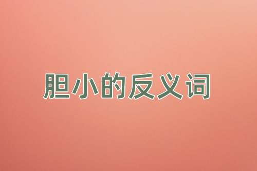 胆小的反义词