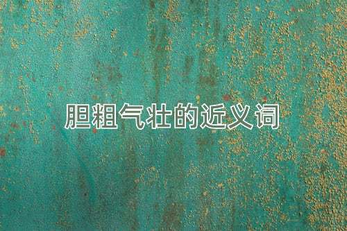 胆粗气壮的近义词