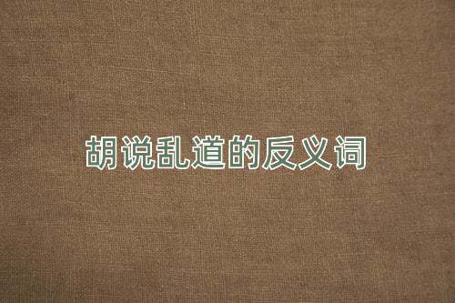 胡说乱道的反义词