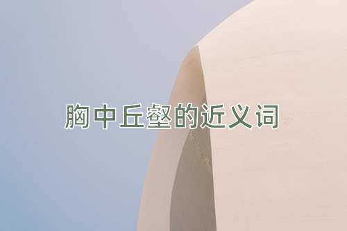 胸中丘壑的近义词