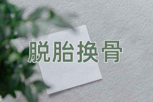 成语脱胎换骨
