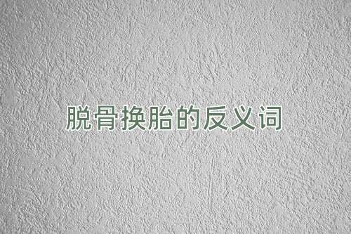 脱骨换胎的反义词