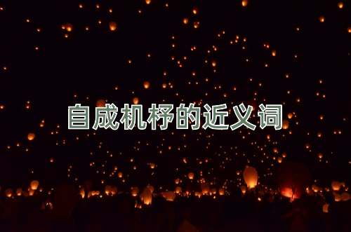自成机杼的近义词