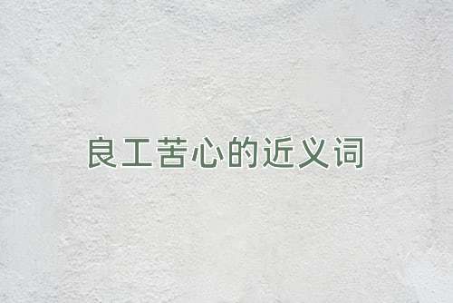良工苦心的近义词