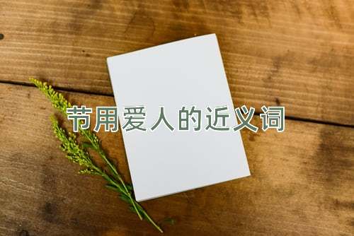 节用爱人的近义词