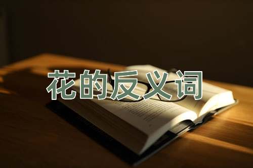 花的反义词