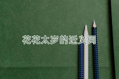花花太岁的近义词