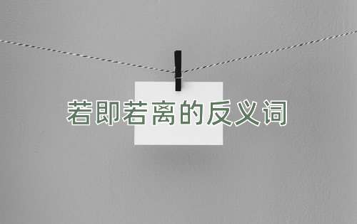 若即若离的反义词