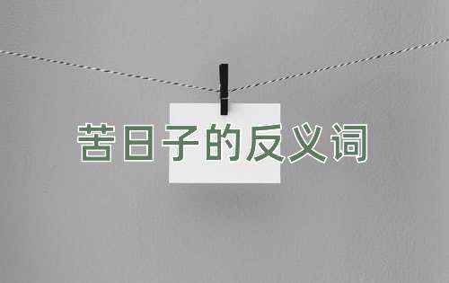 苦日子的反义词