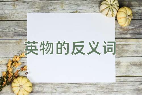 英物的反义词
