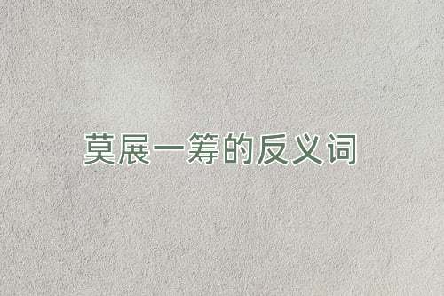 莫展一筹的反义词