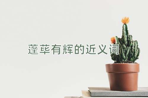 蓬荜有辉的近义词