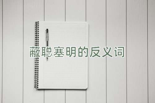 蔽聪塞明的反义词