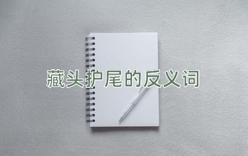 藏头护尾的反义词