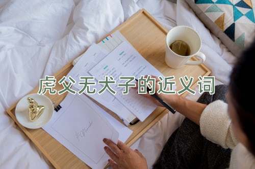 虎父无犬子的近义词