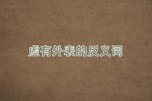 虚有外表的反义词