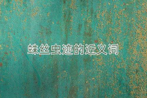 蛛丝虫迹的近义词