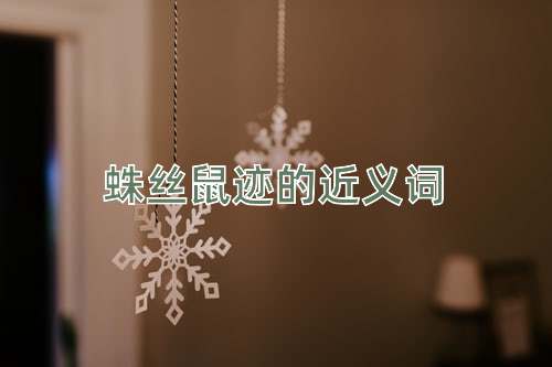 蛛丝鼠迹的近义词