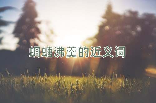 蜩螗沸羹的近义词