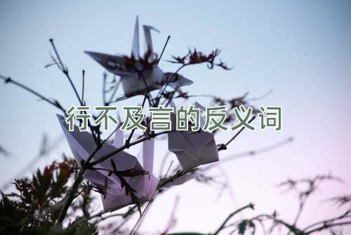 行不及言的反义词