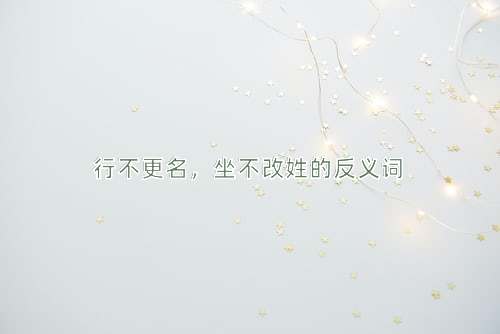 行不更名，坐不改姓的反义词